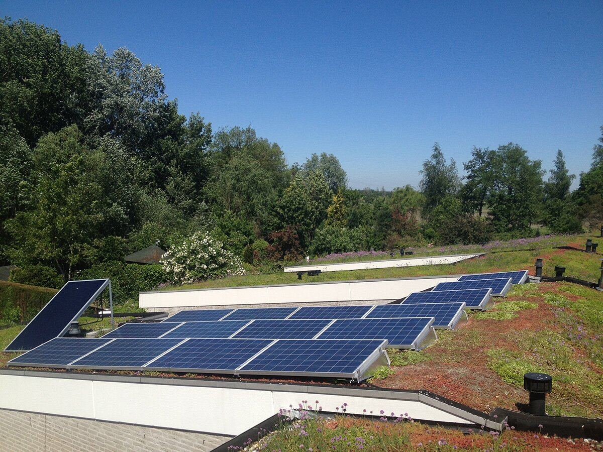 Zonnepanelen op een groen sedumdak